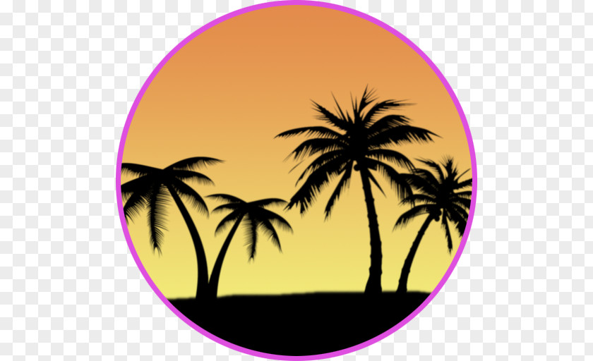 Date Palm Trees Clip Art PNG