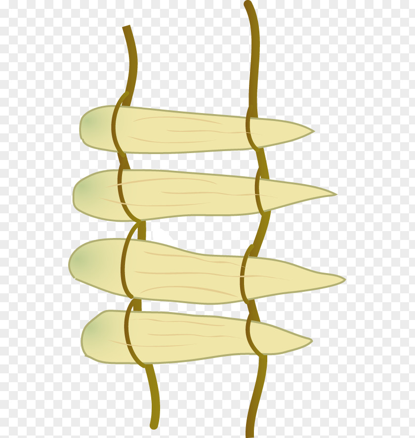 Leaf Line Clip Art PNG