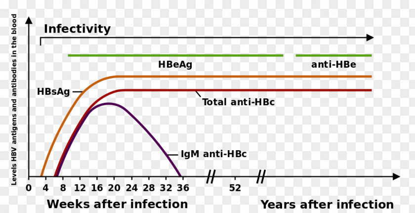 Persistent Hepatitis B Virus Viral HBsAg PNG
