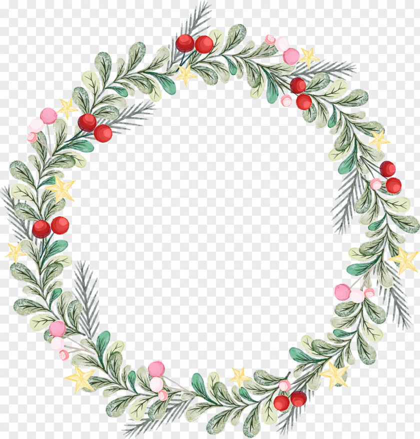Pine Family Colorado Spruce Christmas Decoration PNG