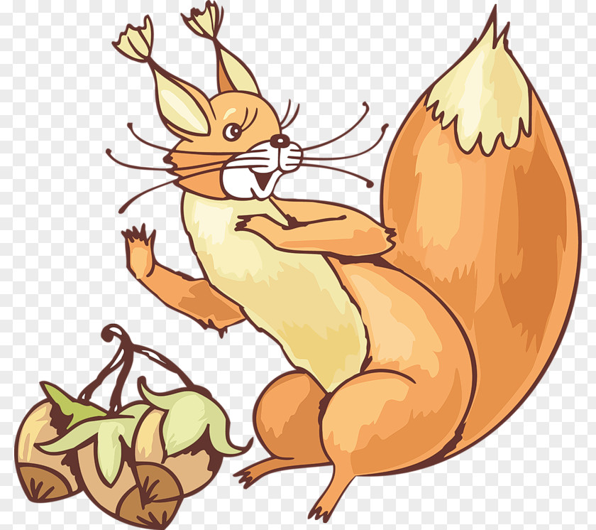 Squirrel Drawing Photography Clip Art PNG