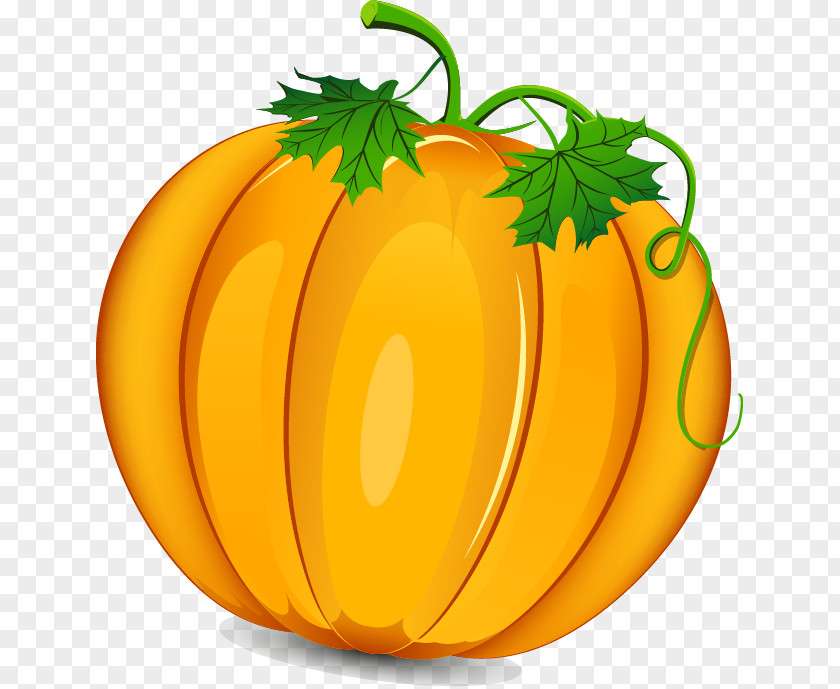 Beautifully Hand-painted Cartoon Pumpkin Thanksgiving Day Clip Art PNG