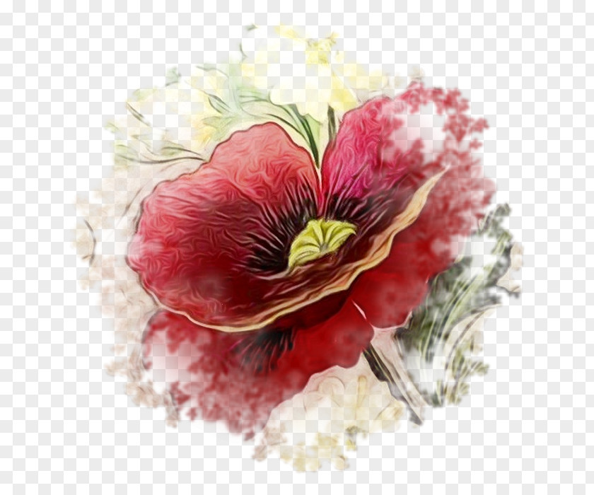 Floristry Anemone Red Watercolor Flowers PNG