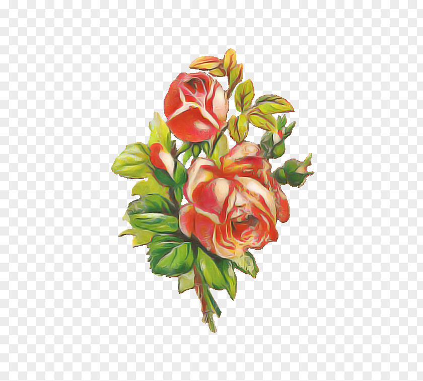 Garden Roses PNG