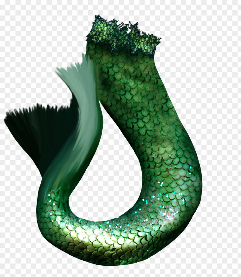 Mermaid Photography Tail PNG