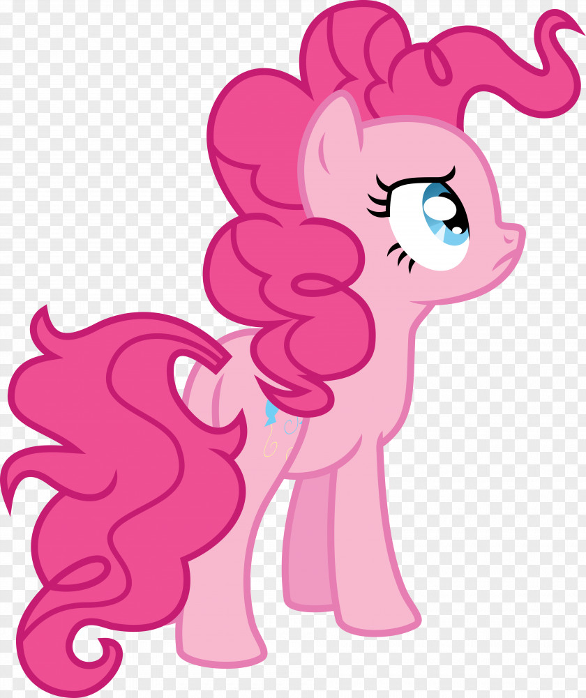 My Little Pony Pinkie Pie Rarity Twilight Sparkle Rainbow Dash PNG