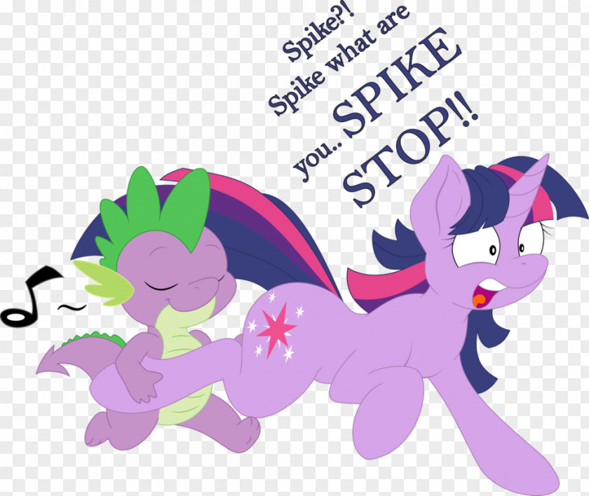 My Little Pony Spike Twilight Sparkle Rainbow Dash Rarity Pinkie Pie PNG
