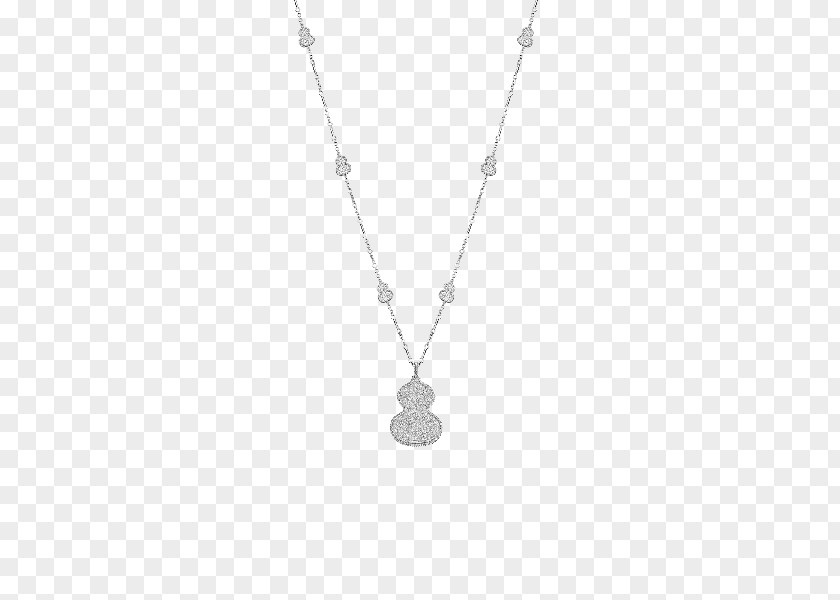 Necklace Locket Silver Jewellery Chain PNG