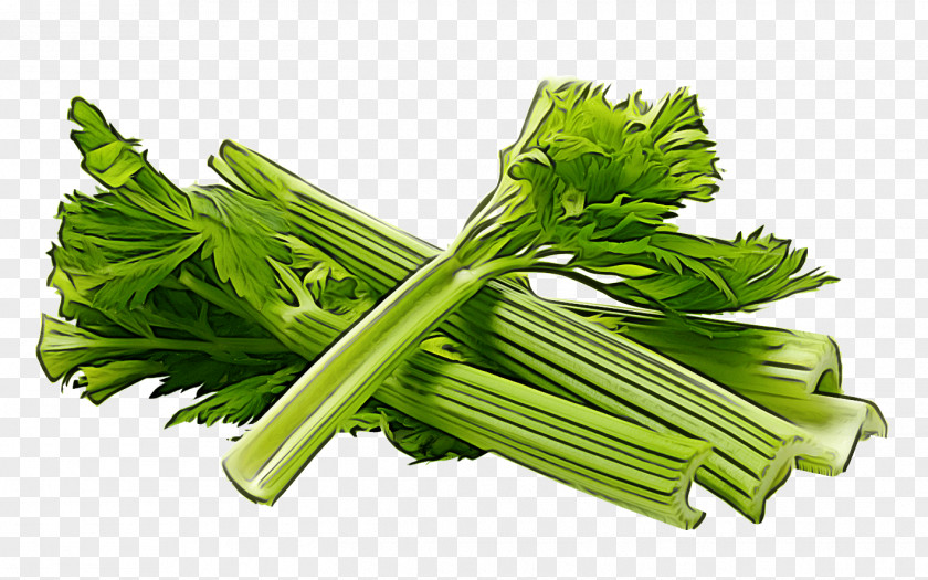 Parsley PNG