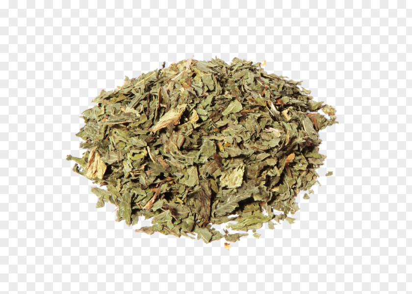 Tea Nilgiri Herbal Peppermint PNG