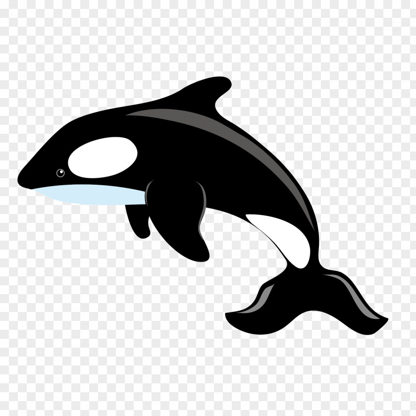 Whale Jumping Vector Material Killer Blue Clip Art PNG