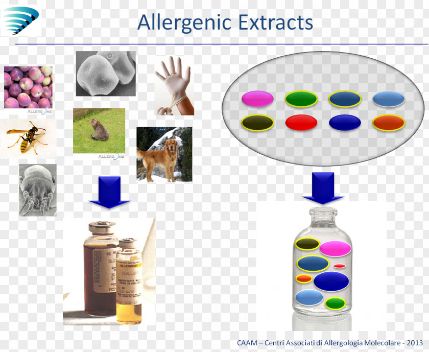 Allergy Molecular Biology Biotechnology Allergen Allergology PNG