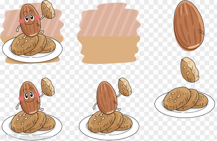 Biscuit Cartoon Nut Illustration PNG
