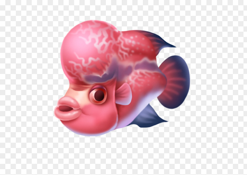 Cartoon Fish Goldfish PNG