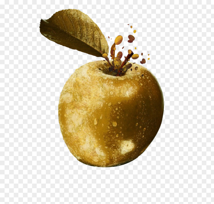 Hand-painted Golden Apple Hesperides Fruit PNG