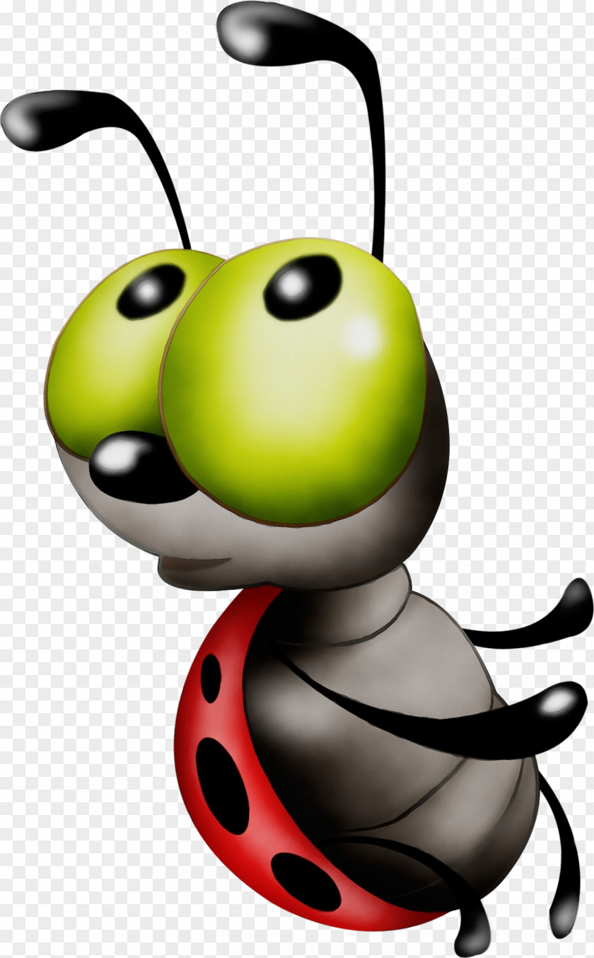 Ladybird Beetle Cartoon Blog Drawing PNG