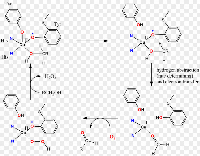 Line Diagram Organic Chemistry PNG