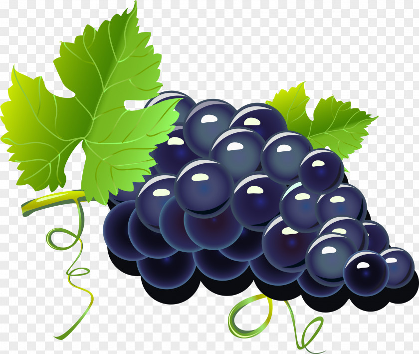 Purple Cartoon Grapes Red Wine Grape PNG