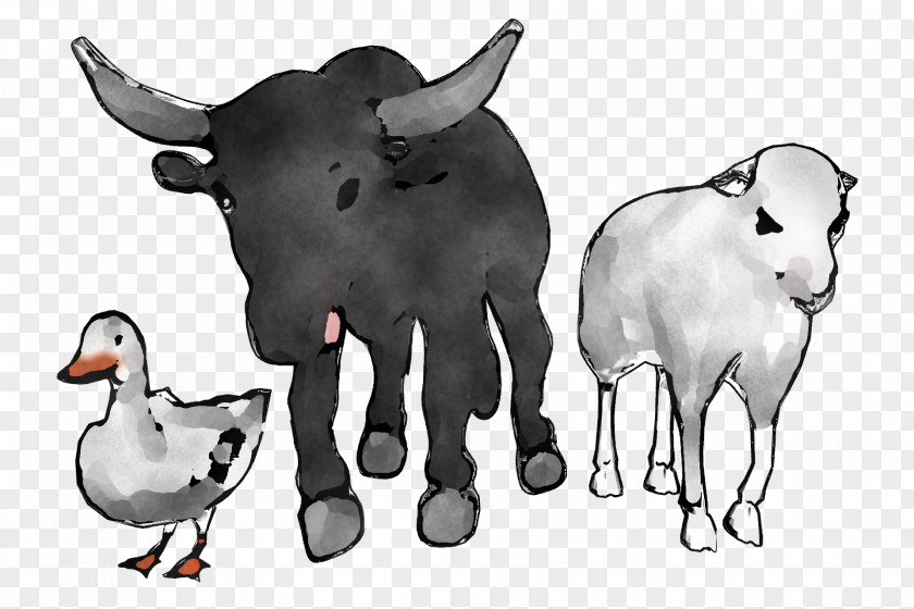 Sheep Zebu Goat Ox Dairy Cattle PNG