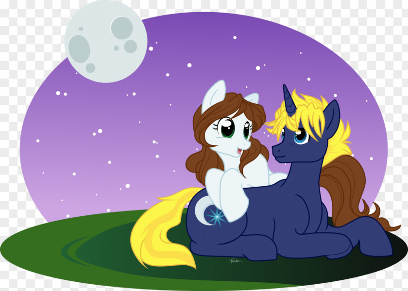 Cat Horse Canidae Pony PNG