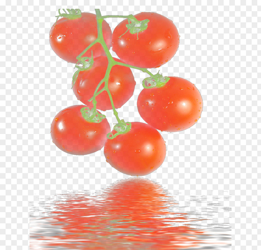 Fruit In Water Plum Tomato Bush Natural Foods PNG