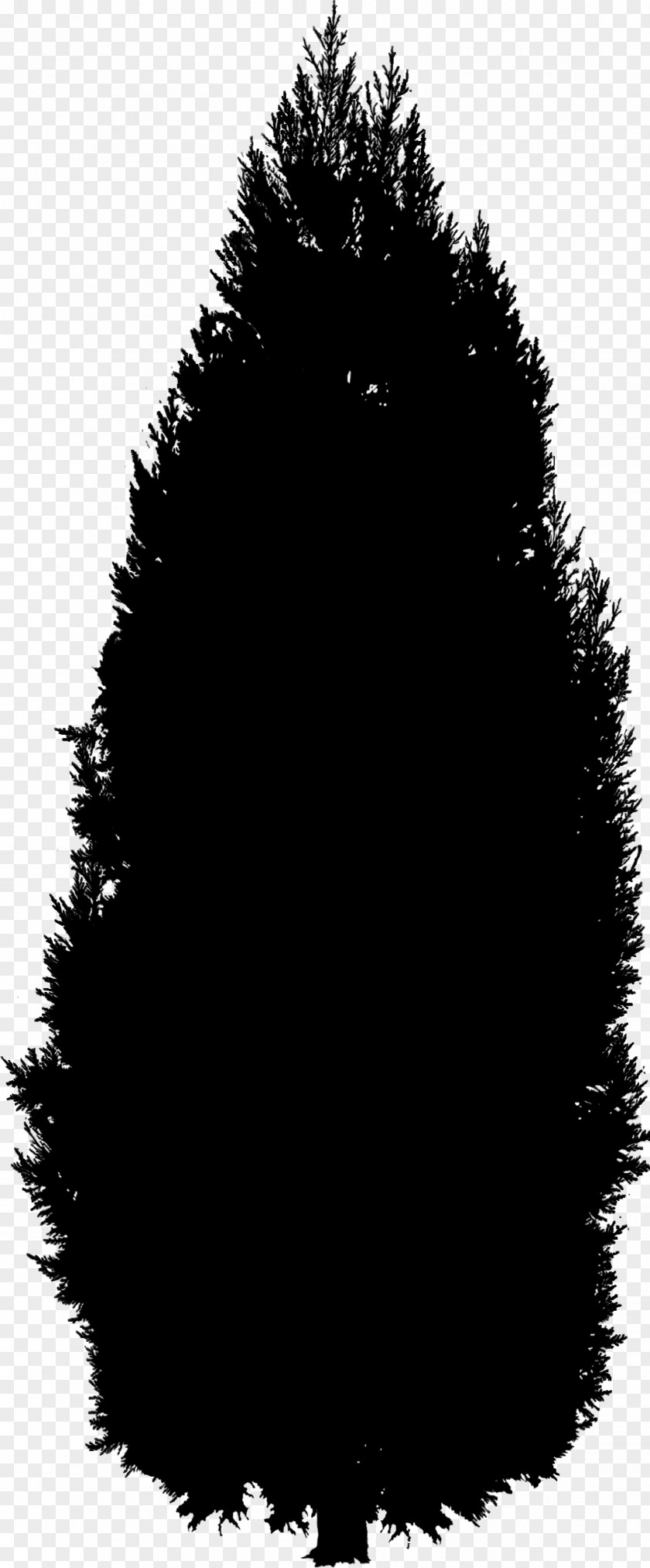 Fur Silhouette Black M PNG