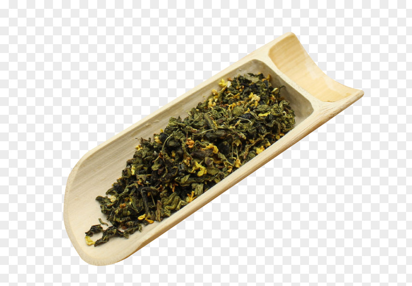 Osmanthus Oolong Tea Material Flowering Green Bag PNG