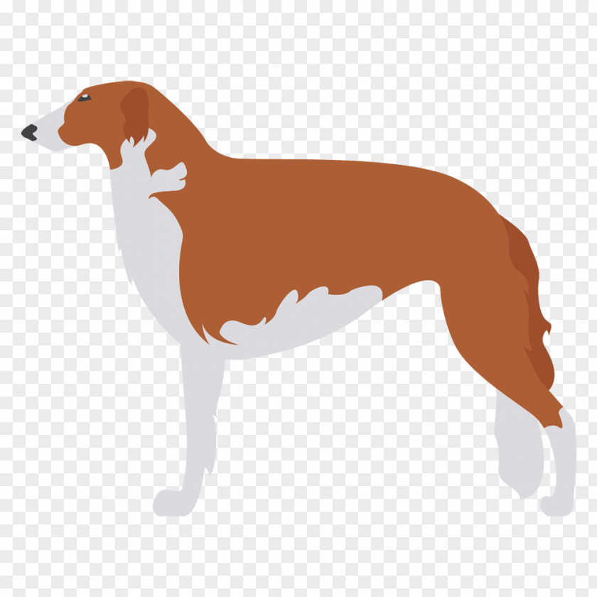 Staffordshire Bull Terrier Italian Greyhound Spanish Whippet Azawakh PNG