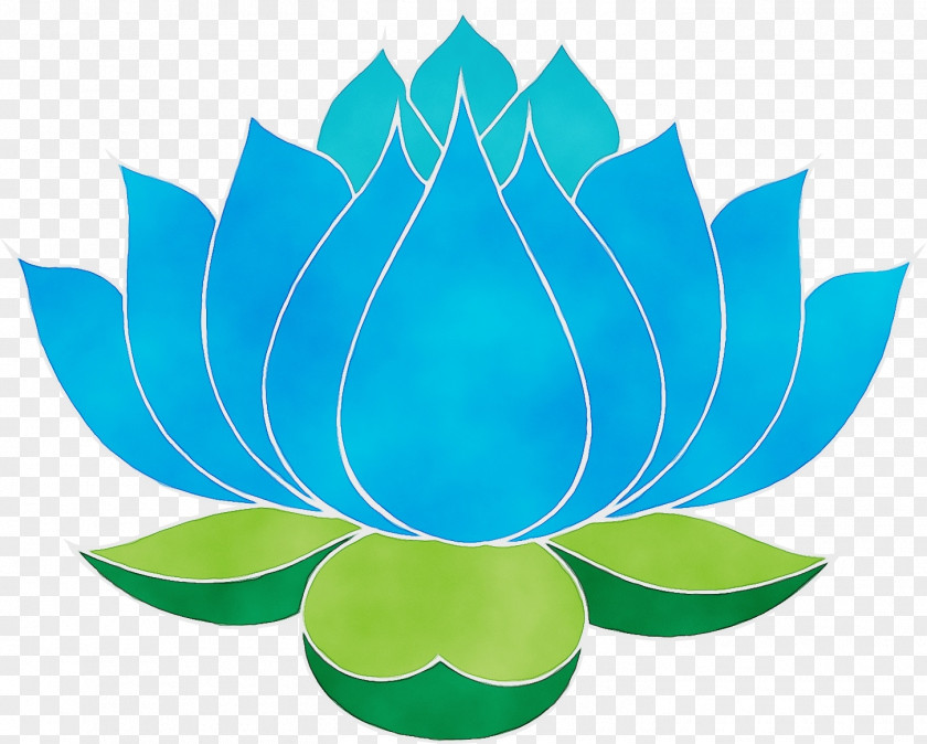Aquatic Plant Logo India Flower Background PNG