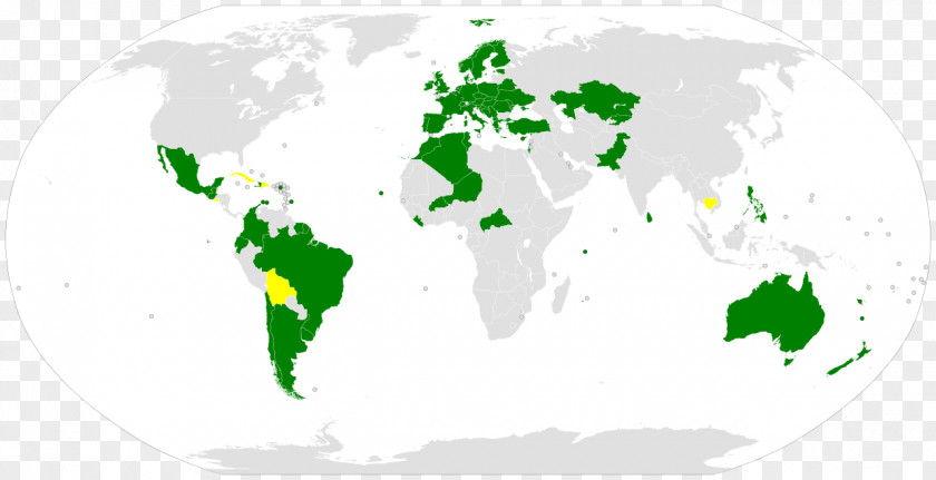 Convention Amnesty International Human Rights Action Center Universal Declaration Of Organization PNG