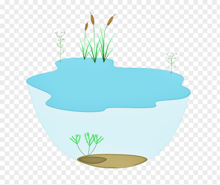 Fish Grass PNG