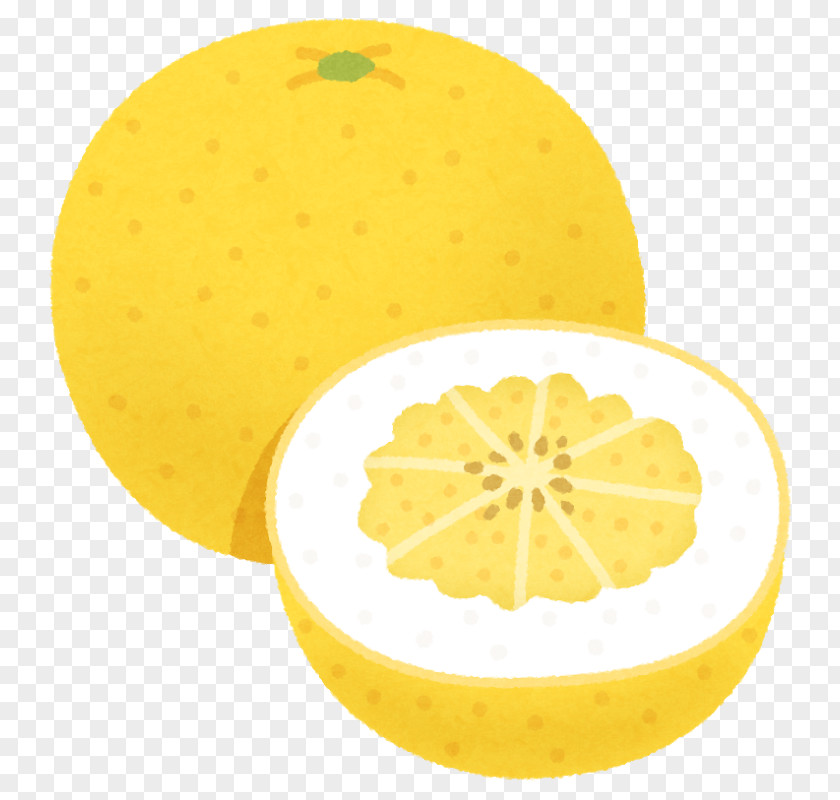 Lemon Izumi-ku, Yokohama Grapefruit Banpeiyu PNG