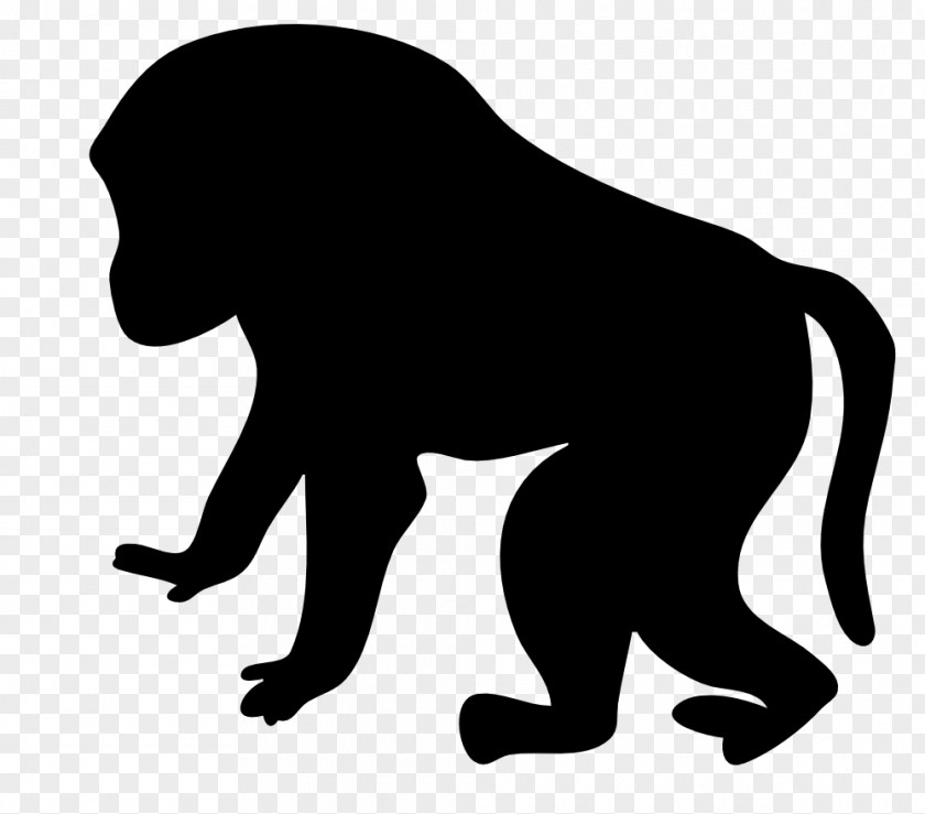 Monkey Macaque Primate Cercopithecidae Clip Art PNG