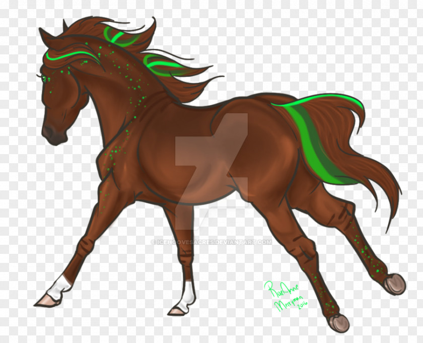 Mustang Foal Mane Mare Stallion PNG