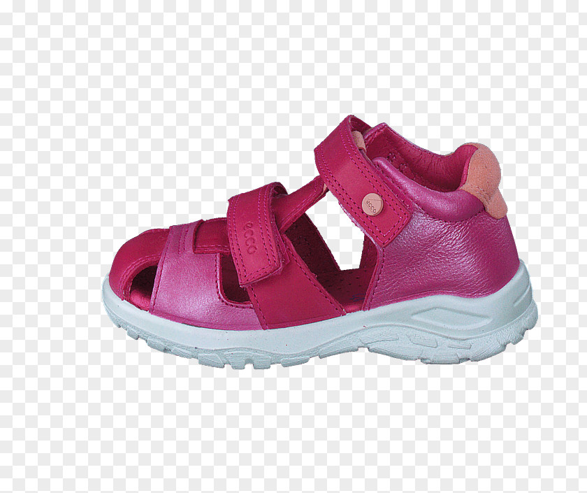 Sandal Slipper ECCO Shoe Footway ApS PNG