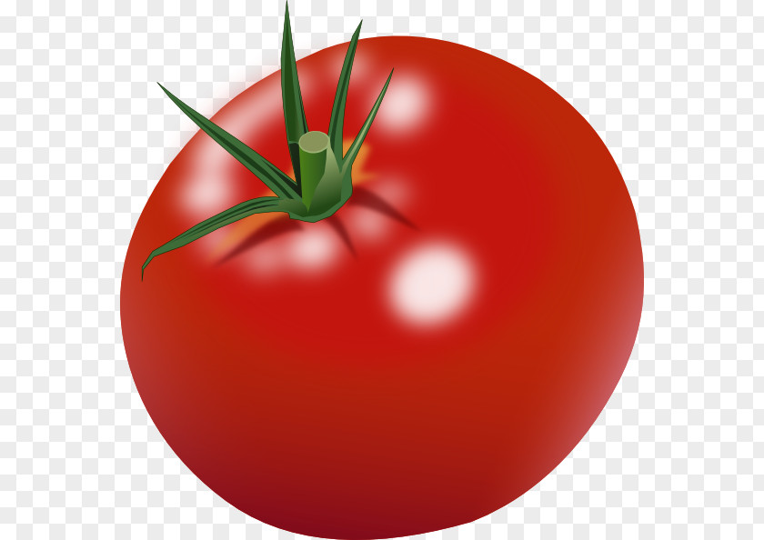 Tomatoes Clipart Cherry Tomato Free Content Clip Art PNG