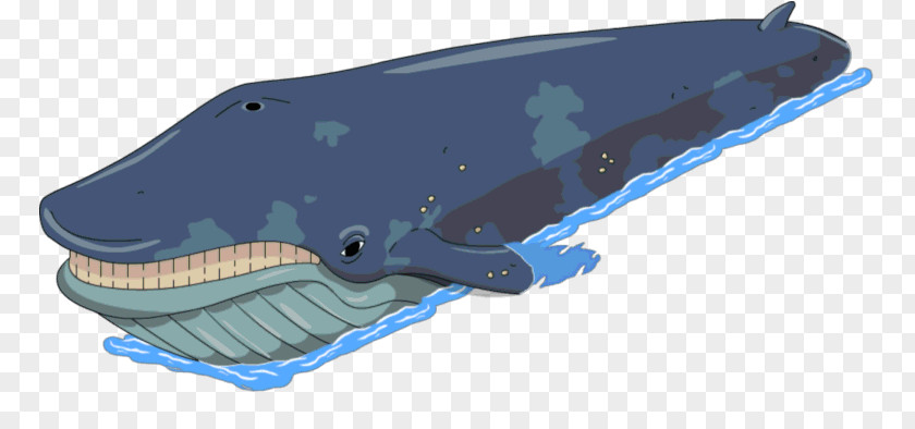 Dolphin The Simpsons: Tapped Out Mr. Burns Cetacea Blue Whale Humpback PNG