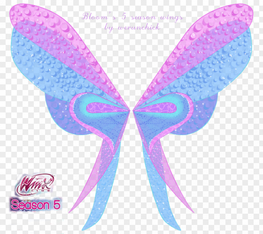 Fairy Bloom Musa Aisha Tecna Winx Club: Believix In You PNG