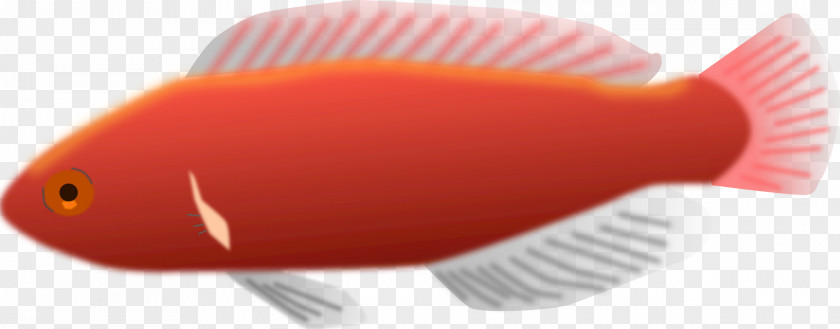 Fish Tank Clip Art PNG