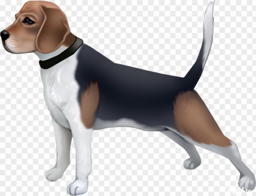 Harrier Finnish Hound English Foxhound Beagle Pin-up Girl PNG girl, others clipart PNG