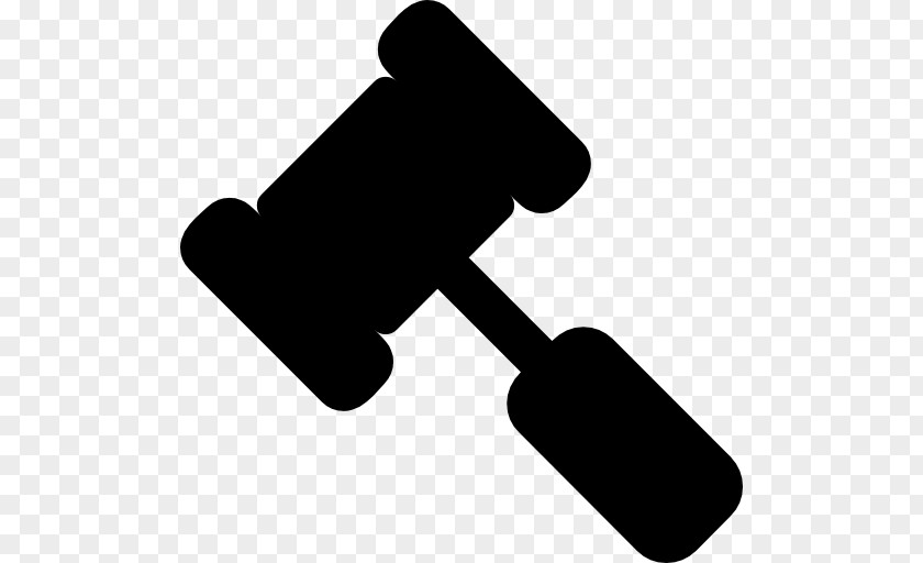 Lawyer Font Awesome Criminal Law Legal Aid PNG