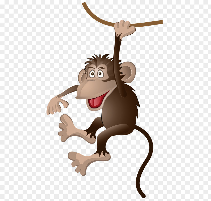 Monkey Photography PNG