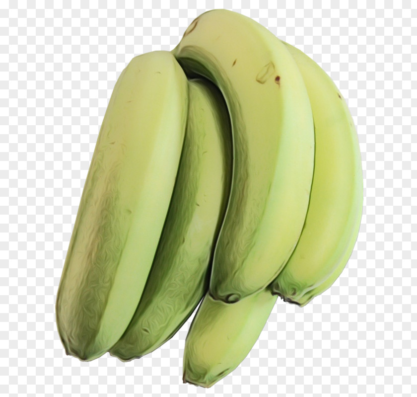 Superfood Food Banana Family Saba Plant Fruit PNG