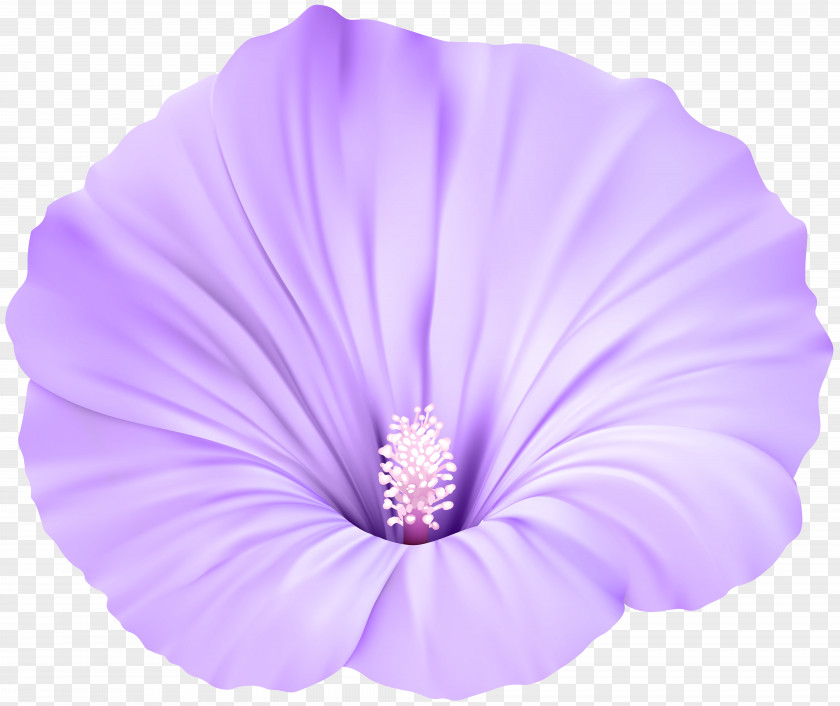 Violet Flower Transparent Clip Art PNG