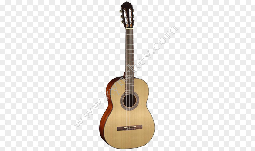 Acoustic Guitar Classical Cort Guitars Acoustic-electric PNG