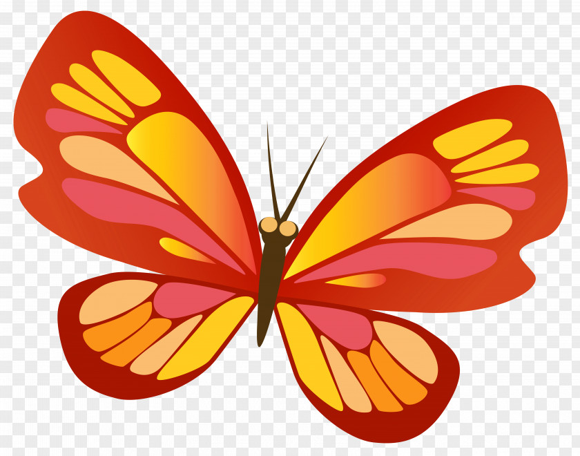 Butterfly With Red Image Monarch Orange Clip Art PNG