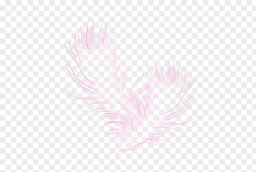 Pink Feather Textile Petal Pattern PNG