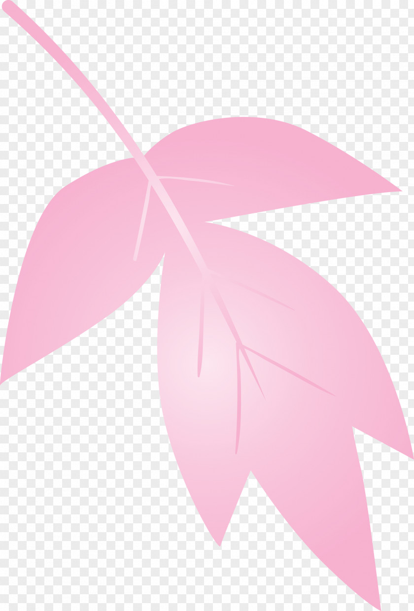 Pink Leaf Line Plant Petal PNG