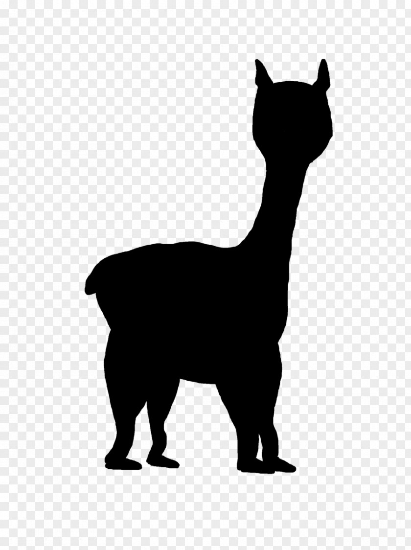 Sphynx Cat Clip Art Whiskers Silhouette PNG