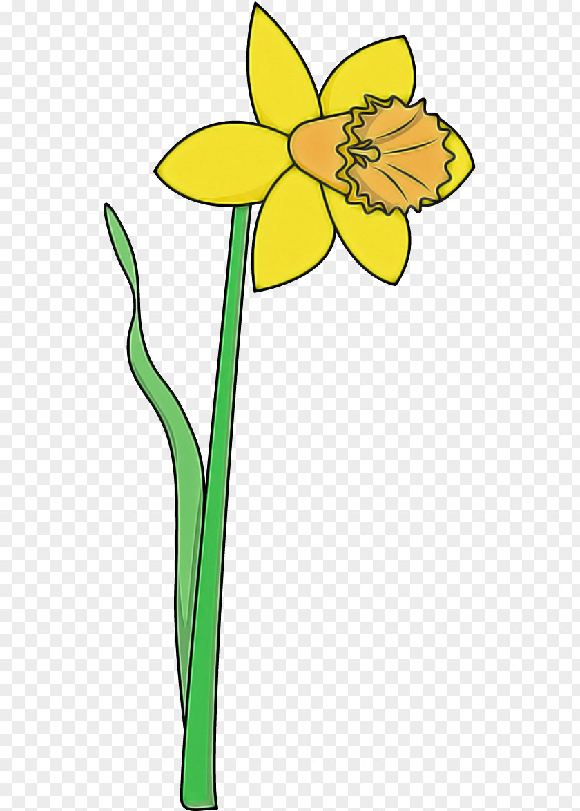Yellow Flower Plant Stem Narcissus PNG